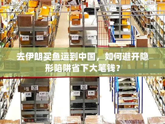 去伊朗买鱼运到中国，如何避开隐形陷阱省下大笔钱？