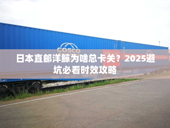 日本直邮洋鲸为啥总卡关？2025避坑必看时效攻略
