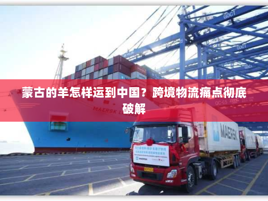 蒙古的羊怎样运到中国?跨境物流痛点彻底破解 蒙古的羊怎样运到中国?跨境物流痛点彻底破解