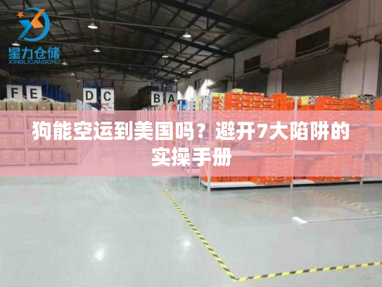 狗能空运到美国吗？避开7大陷阱的实操手册
