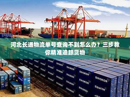 河北长通物流单号查询不到怎么办?三步教你精准追踪货物 河北长通物流单号查询不到怎么办?三步教你精准追踪货物