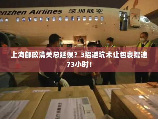 上海邮政清关总延误?3招避坑术让包裹提速73小时! 上海邮政清关总延误?3招避坑术让包裹提速73小时!