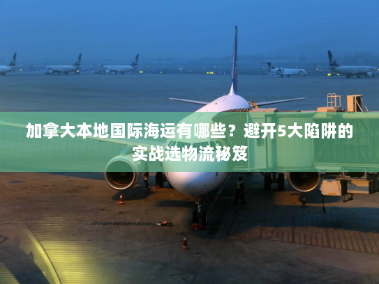 加拿大本地国际海运有哪些?避开5大陷阱的实战选物流秘笈 加拿大本地国际海运有哪些?避开5大陷阱的实战选物流秘笈