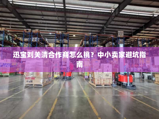 迅宝刘关清合作商怎么挑？中小卖家避坑指南