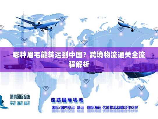 哪种眉毛能转运到中国?跨境物流通关全流程解析 哪种眉毛能转运到中国?跨境物流通关全流程解析