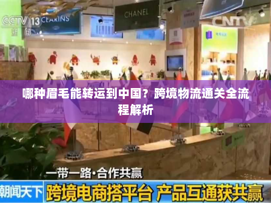 哪种眉毛能转运到中国?跨境物流通关全流程解析 哪种眉毛能转运到中国?跨境物流通关全流程解析