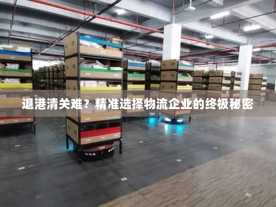 退港清关难?精准选择物流企业的终极秘密 退港清关难?精准选择物流企业的终极秘密