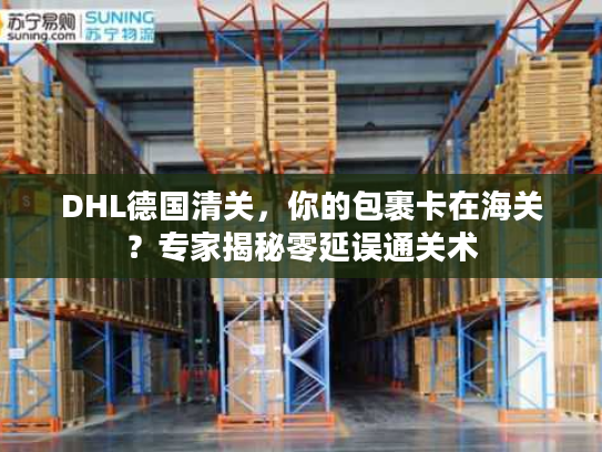 DHL德国清关，你的包裹卡在海关？专家揭秘零延误通关术