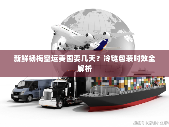 新鲜杨梅空运美国要几天？冷链包装时效全解析