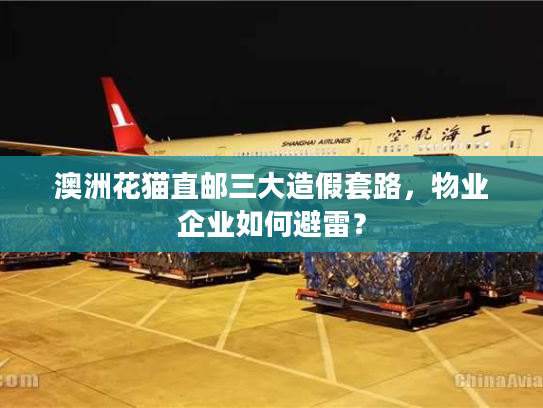 澳洲花猫直邮三大造假套路，物业企业如何避雷？