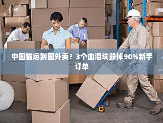 中国猫运到国外卖?3个血泪坑毁掉90%新手订单 中国猫运到国外卖?3个血泪坑毁掉90%新手订单