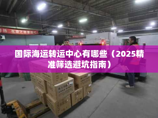 国际海运转运中心有哪些（2025精准筛选避坑指南）