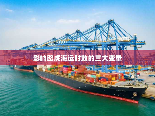 影响路虎海运时效的三大变量