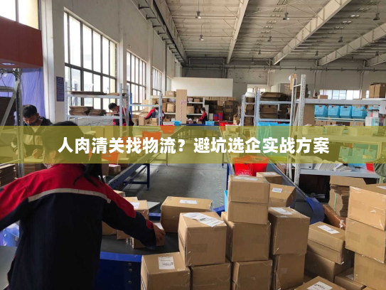 人肉清关找物流？避坑选企实战方案