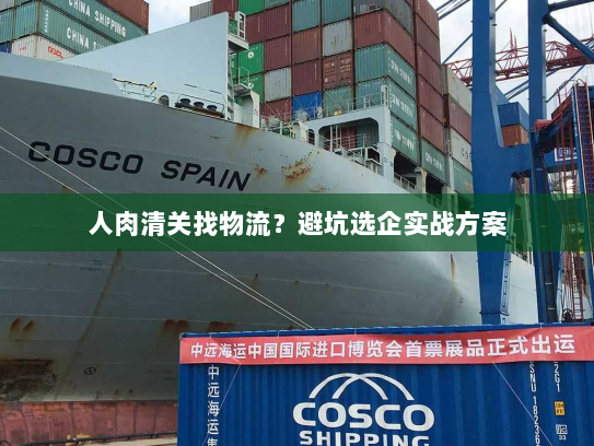 人肉清关找物流？避坑选企实战方案