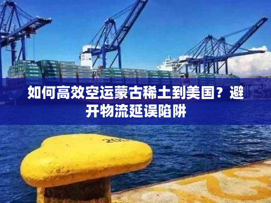 如何高效空运蒙古稀土到美国?避开物流延误陷阱 如何高效空运蒙古稀土到美国?避开物流延误陷阱