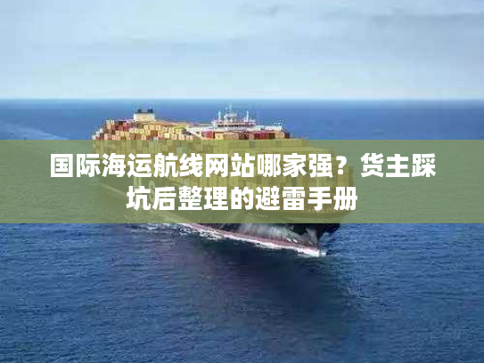 国际海运航线网站哪家强？货主踩坑后整理的避雷手册