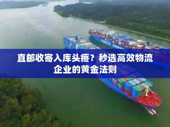 直邮收寄入库头疼？秒选高效物流企业的黄金法则