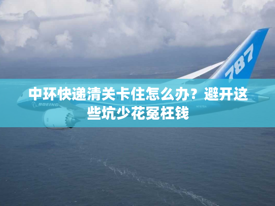 中环快递清关卡住怎么办？避开这些坑少花冤枉钱