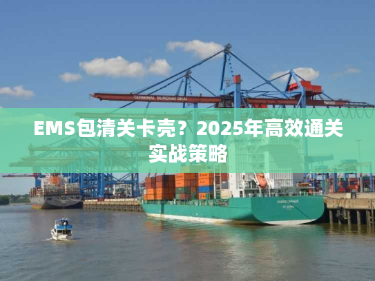 EMS包清关卡壳？2025年高效通关实战策略