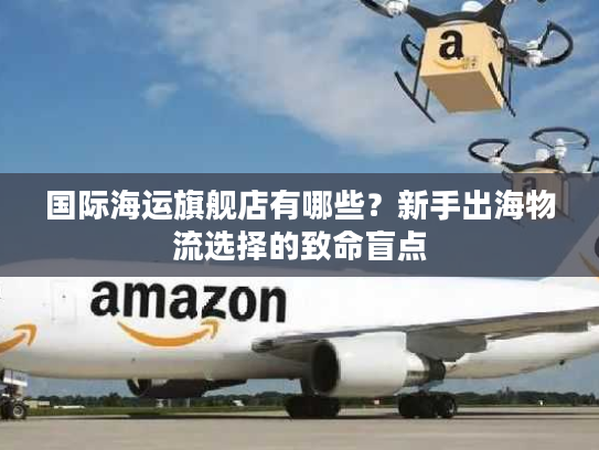 国际海运旗舰店有哪些?新手出海物流选择的致命盲点 国际海运旗舰店有哪些?新手出海物流选择的致命盲点