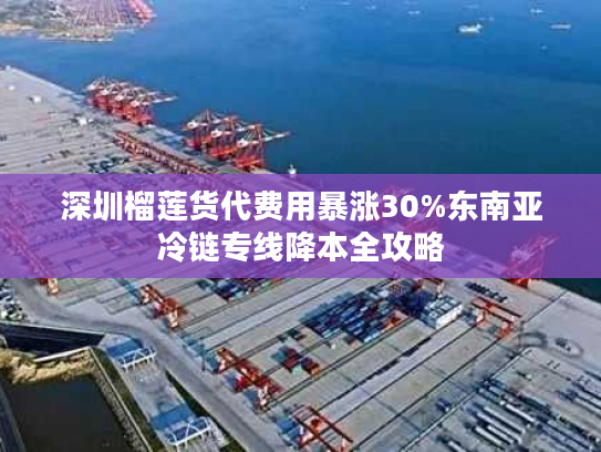 深圳榴莲货代费用暴涨30%东南亚冷链专线降本全攻略