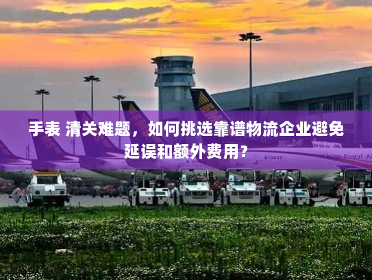 手表 清关难题,如何挑选靠谱物流企业避免延误和额外费用? 手表 清关难题,如何挑选靠谱物流企业避免延误和额外费用?