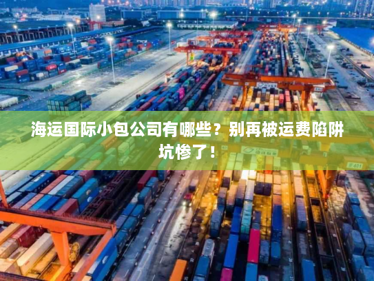 海运国际小包公司有哪些？别再被运费陷阱坑惨了！