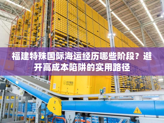 福建特殊国际海运经历哪些阶段？避开高成本陷阱的实用路径