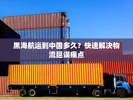 黑海航运到中国多久？快速解决物流延误痛点