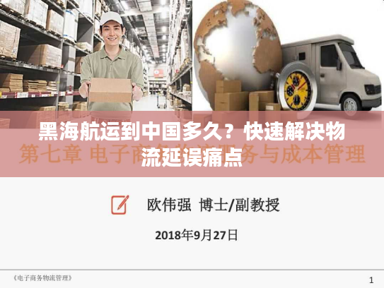 黑海航运到中国多久？快速解决物流延误痛点