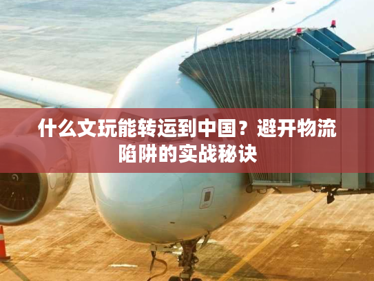 什么文玩能转运到中国？避开物流陷阱的实战秘诀