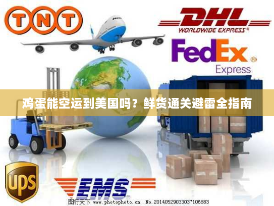 鸡蛋能空运到美国吗?鲜货通关避雷全指南 鸡蛋能空运到美国吗?鲜货通关避雷全指南
