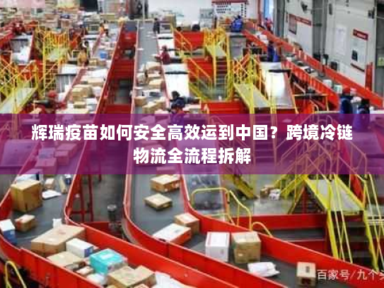 辉瑞疫苗如何安全高效运到中国?跨境冷链物流全流程拆解 辉瑞疫苗如何安全高效运到中国?跨境冷链物流全流程拆解