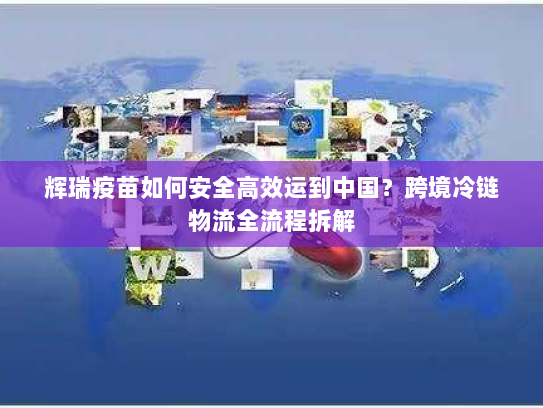 辉瑞疫苗如何安全高效运到中国?跨境冷链物流全流程拆解 辉瑞疫苗如何安全高效运到中国?跨境冷链物流全流程拆解