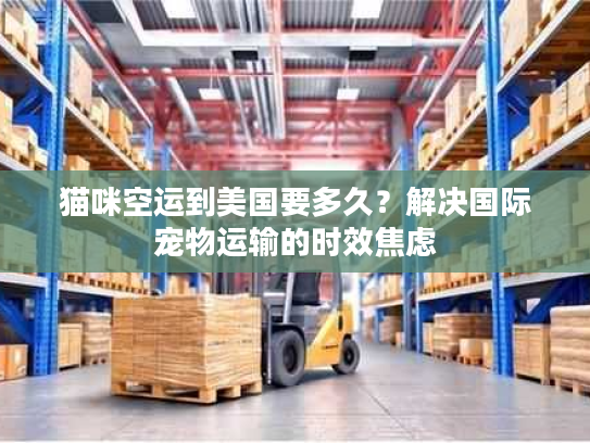 猫咪空运到美国要多久？解决国际宠物运输的时效焦虑