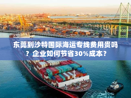 东莞到沙特国际海运专线费用贵吗?企业如何节省30%成本? 东莞到沙特国际海运专线费用贵吗?企业如何节省30%成本?