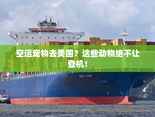 空运宠物去美国?这些动物绝不让登机! 空运宠物去美国?这些动物绝不让登机!