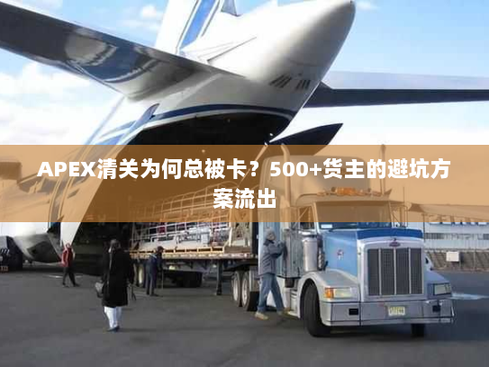 APEX清关为何总被卡?500+货主的避坑方案流出 APEX清关为何总被卡?500+货主的避坑方案流出