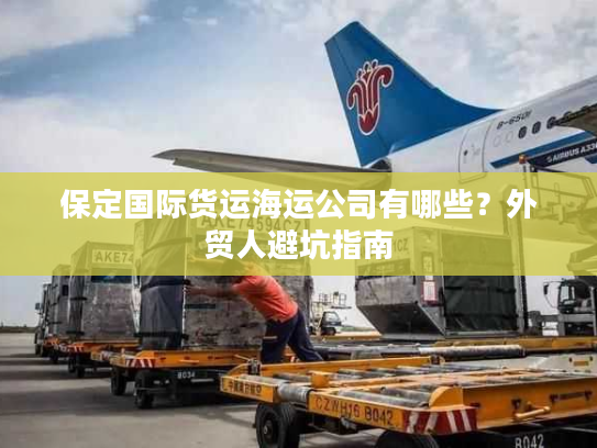 保定国际货运海运公司有哪些?外贸人避坑指南 保定国际货运海运公司有哪些?外贸人避坑指南