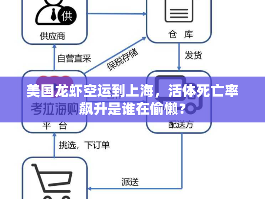 美国龙虾空运到上海，活体死亡率飙升是谁在偷懒？