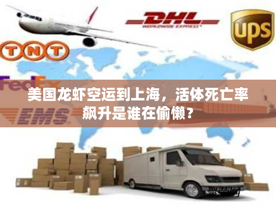 美国龙虾空运到上海，活体死亡率飙升是谁在偷懒？