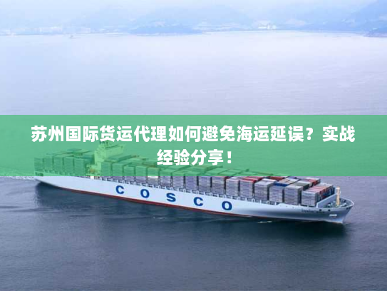 苏州国际货运代理如何避免海运延误?实战经验分享! 苏州国际货运代理如何避免海运延误?实战经验分享!