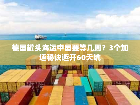 德国罐头海运中国要等几周？3个加速秘诀避开60天坑