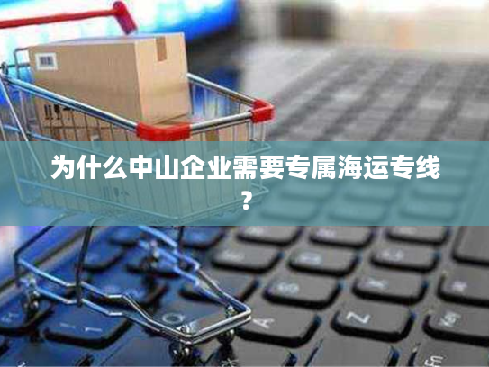 为什么中山企业需要专属海运专线? 为什么中山企业需要专属海运专线?