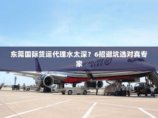 东莞国际货运代理水太深?6招避坑选对真专家 东莞国际货运代理水太深?6招避坑选对真专家
