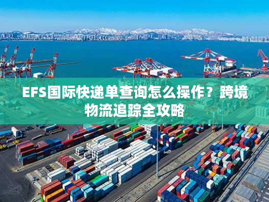 EFS国际快递单查询怎么操作？跨境物流追踪全攻略