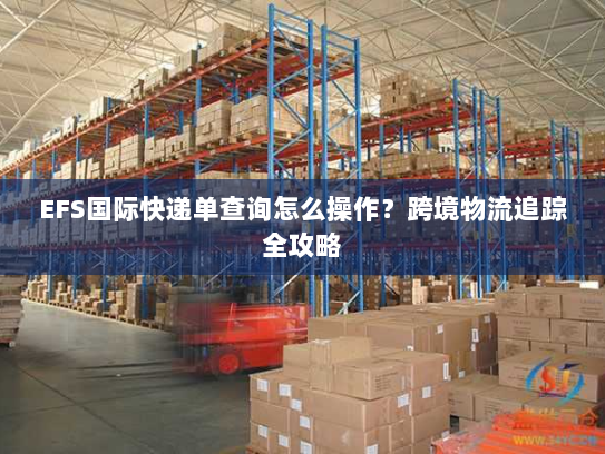 EFS国际快递单查询怎么操作？跨境物流追踪全攻略