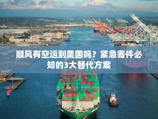 顺风有空运到美国吗？紧急寄件必知的3大替代方案