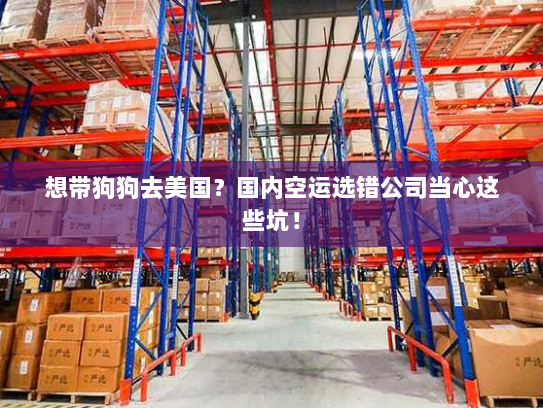 想带狗狗去美国?国内空运选错公司当心这些坑! 想带狗狗去美国?国内空运选错公司当心这些坑!